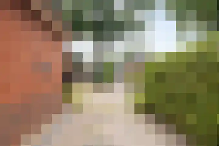 Canterlandseweg 37 Gytsjerk thumbnail 40