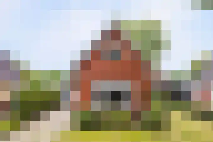 Canterlandseweg 37 Gytsjerk thumbnail 41