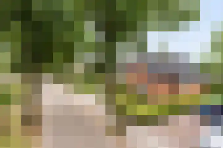 Canterlandseweg 37 Gytsjerk thumbnail 43