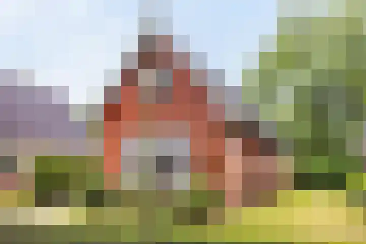 Canterlandseweg 37 Gytsjerk thumbnail 44