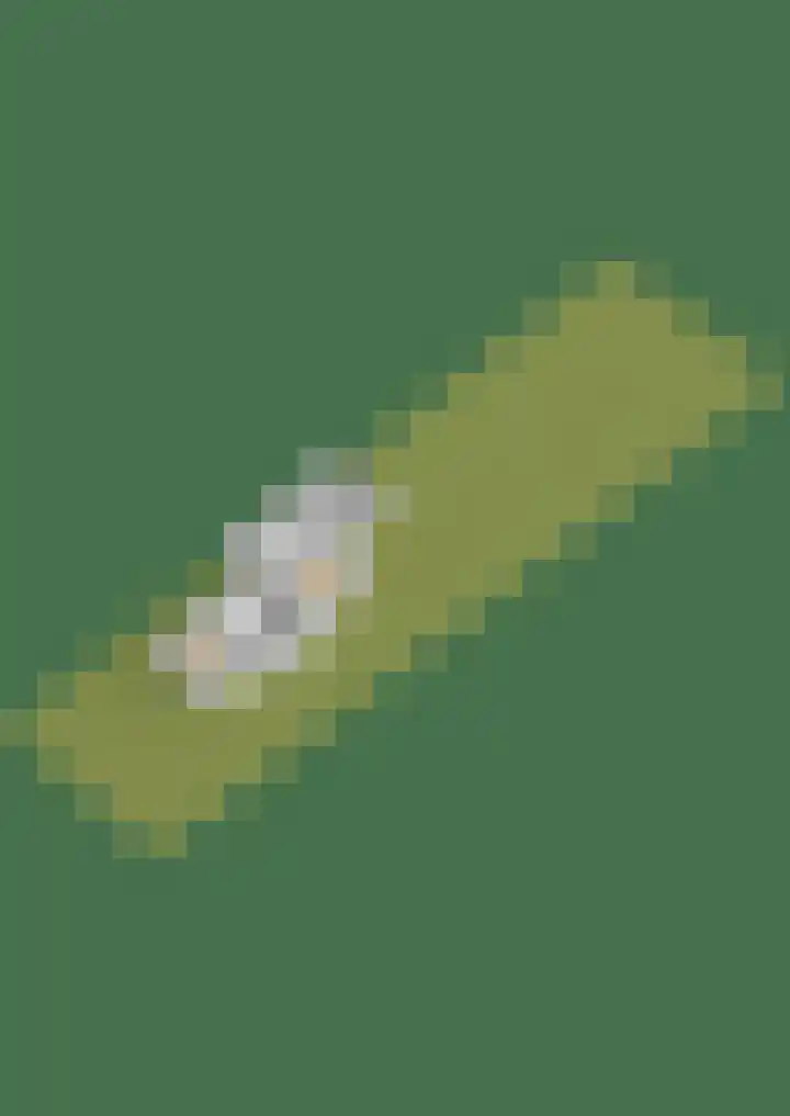 Canterlandseweg 37 Gytsjerk thumbnail 54