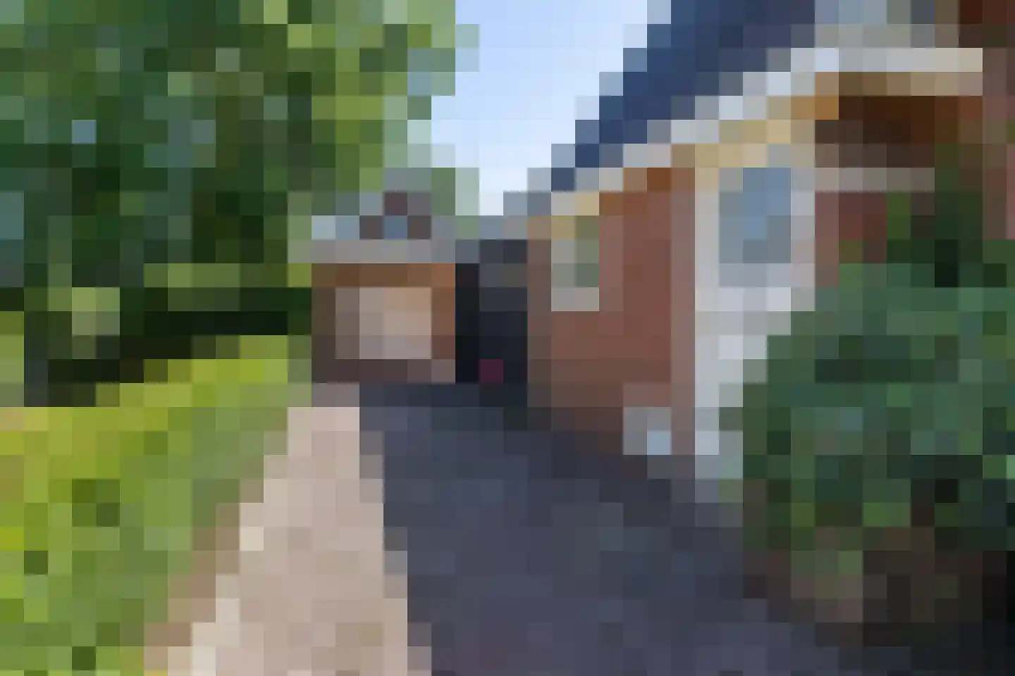 Canterlandseweg 39 Gytsjerk thumbnail 12