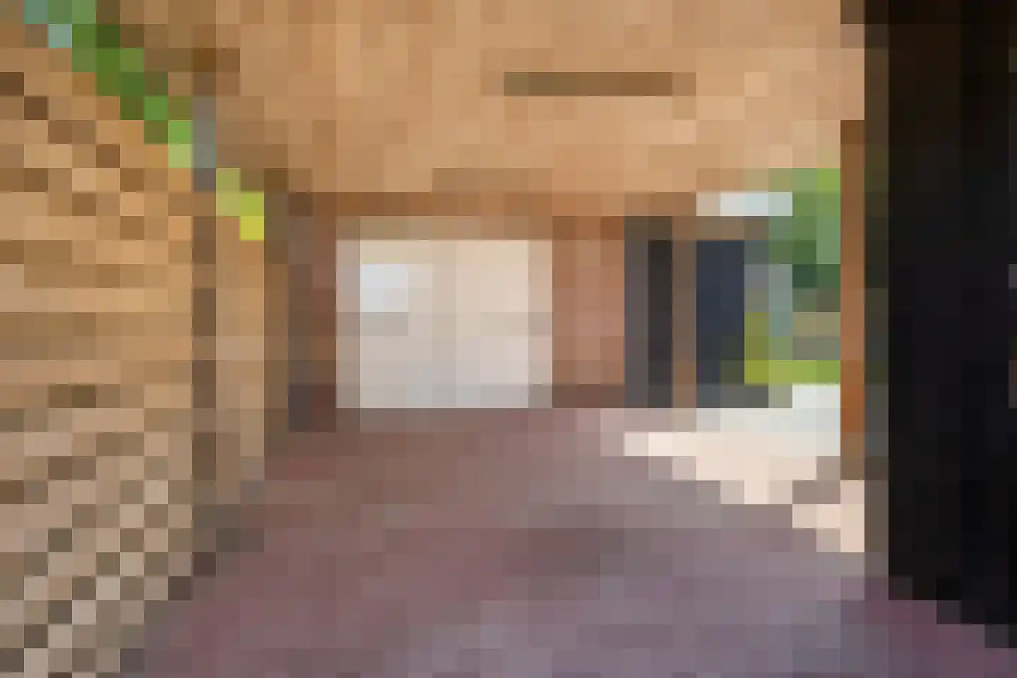 Canterlandseweg 39 Gytsjerk thumbnail 13