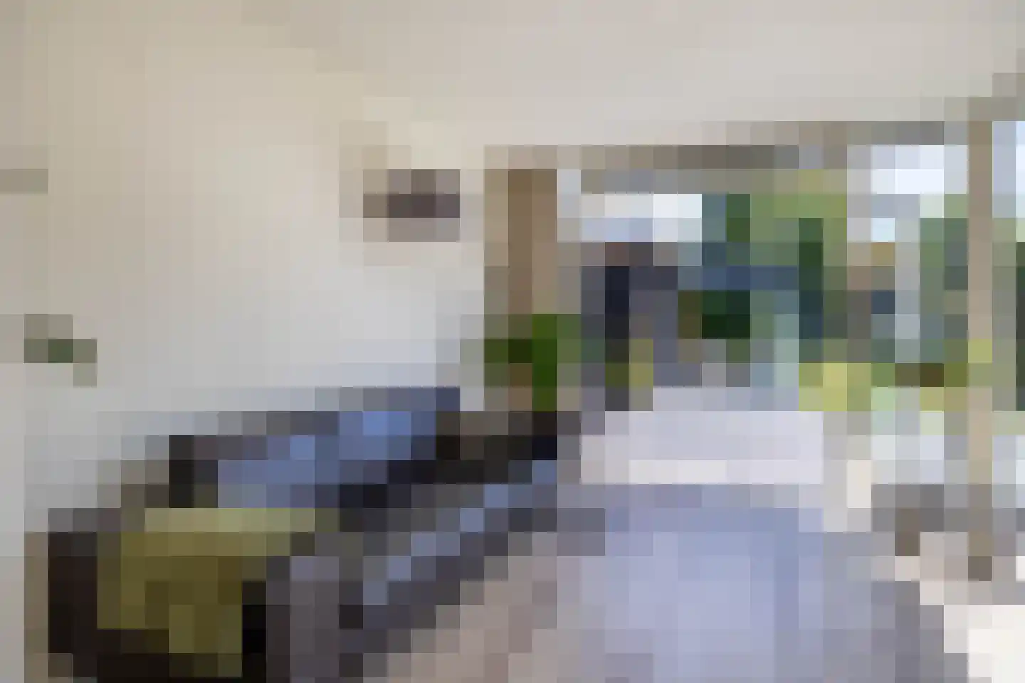 Canterlandseweg 39 Gytsjerk thumbnail 25