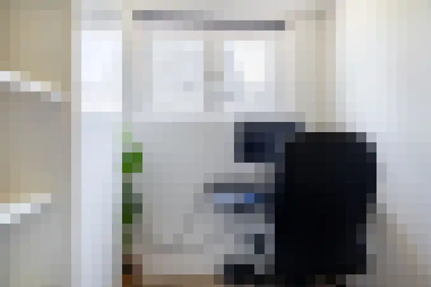 Canterlandseweg 39 Gytsjerk thumbnail 30