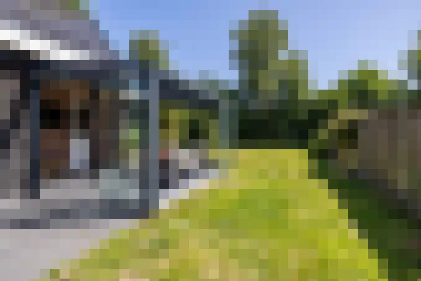 Canterlandseweg 39 Gytsjerk thumbnail 48