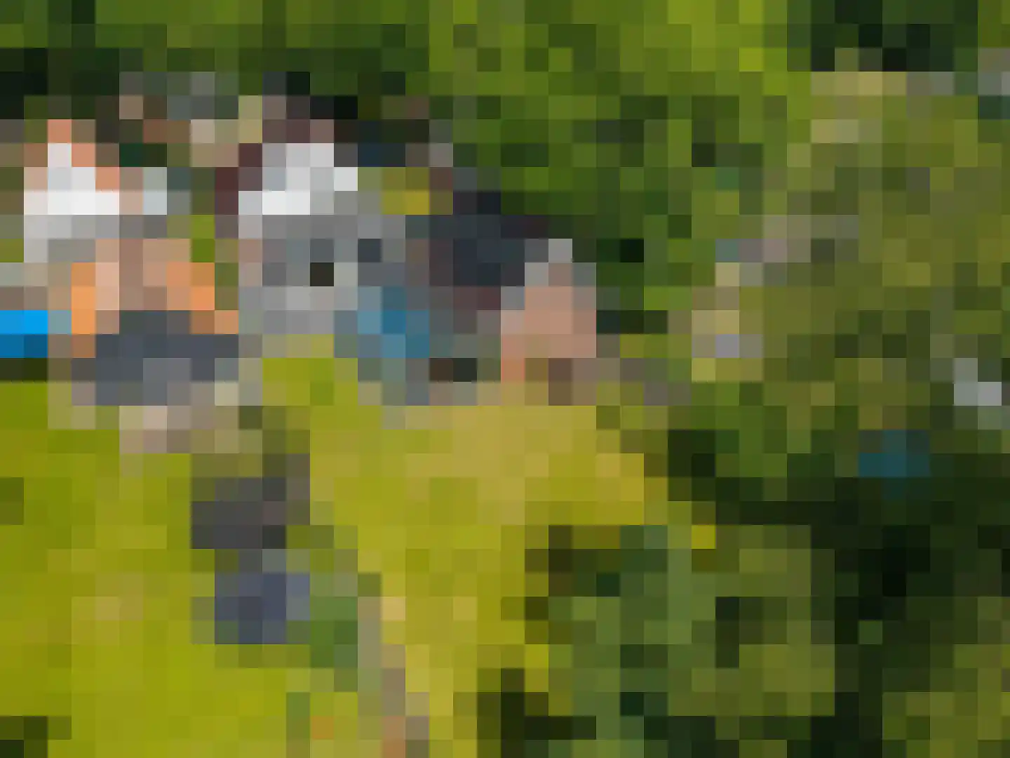 Canterlandseweg 39 Gytsjerk thumbnail 5