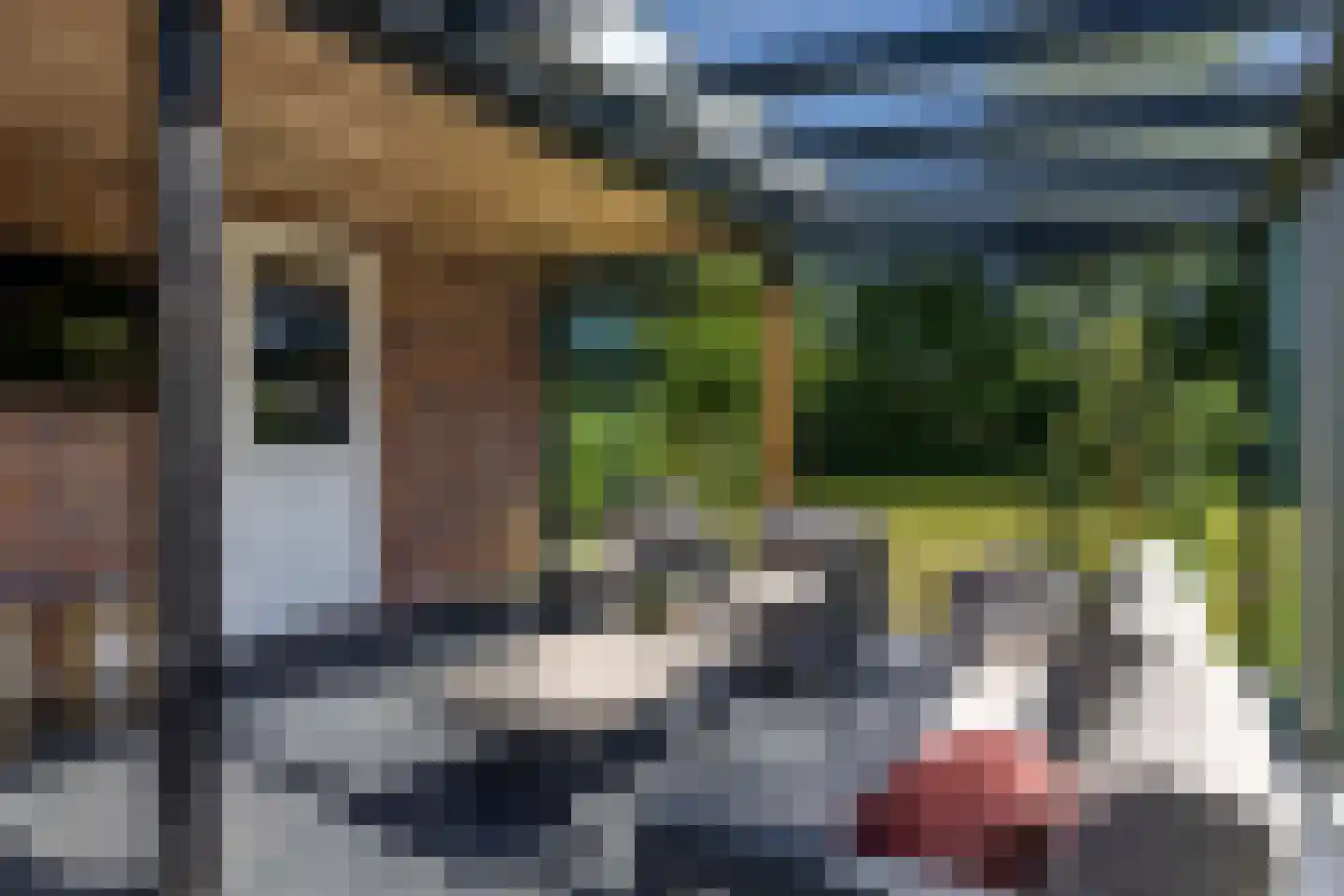 Canterlandseweg 39 Gytsjerk thumbnail 50