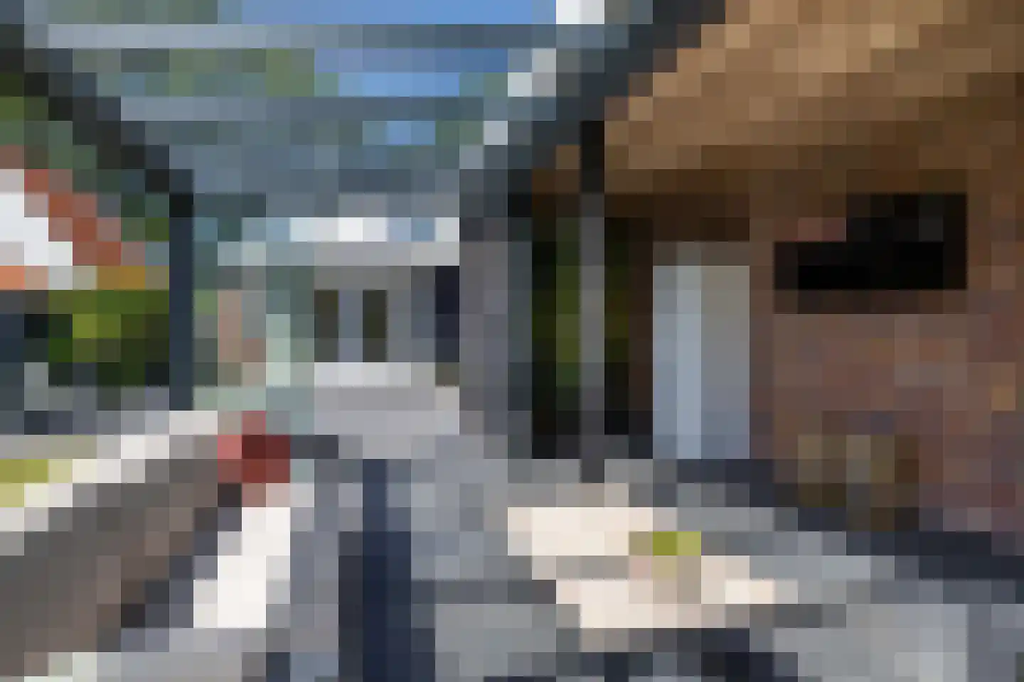 Canterlandseweg 39 Gytsjerk thumbnail 52