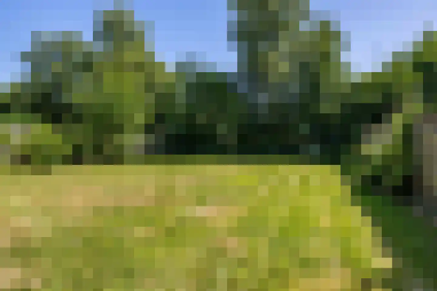 Canterlandseweg 39 Gytsjerk thumbnail 53