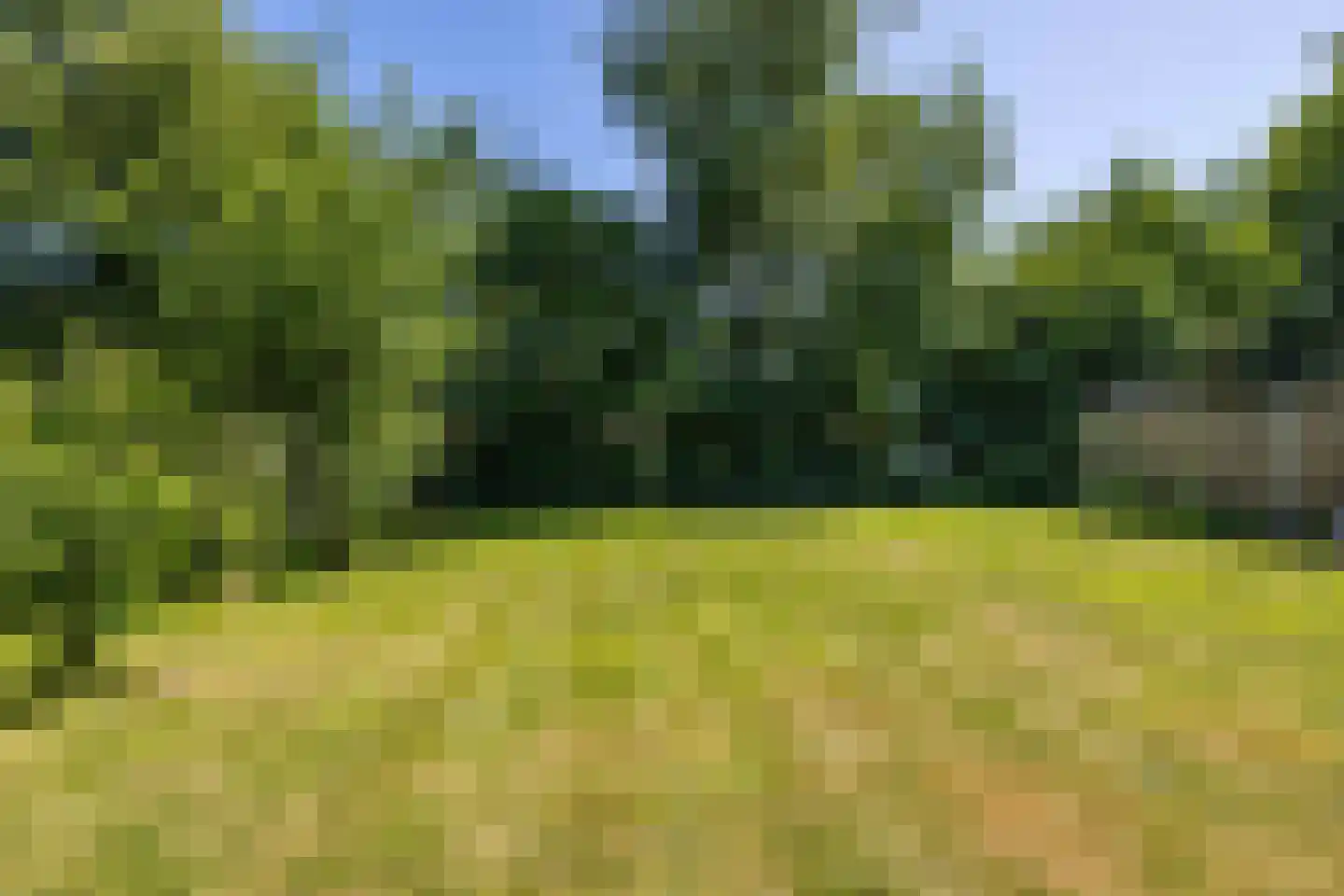 Canterlandseweg 39 Gytsjerk thumbnail 54