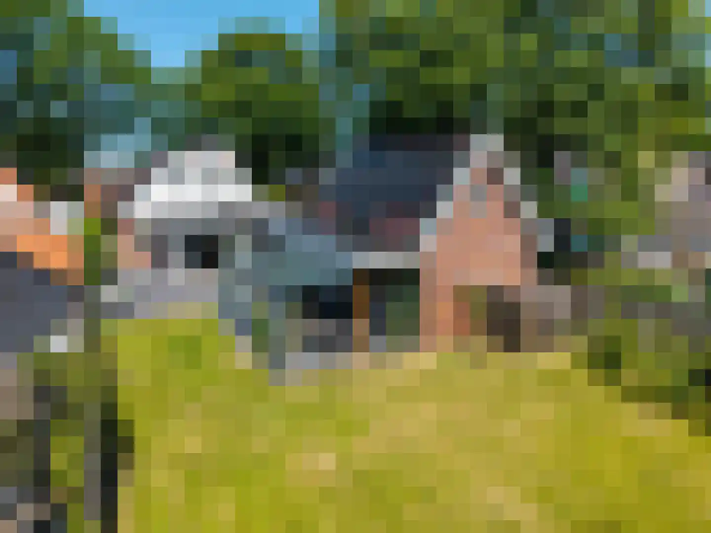 Canterlandseweg 39 Gytsjerk thumbnail 55