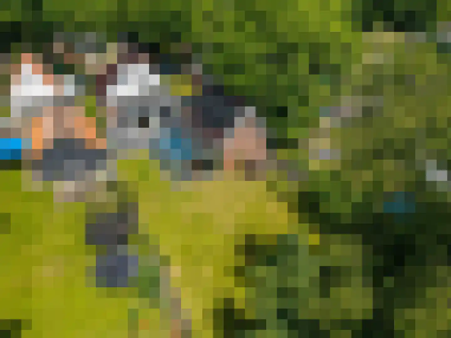 Canterlandseweg 39 Gytsjerk thumbnail 56