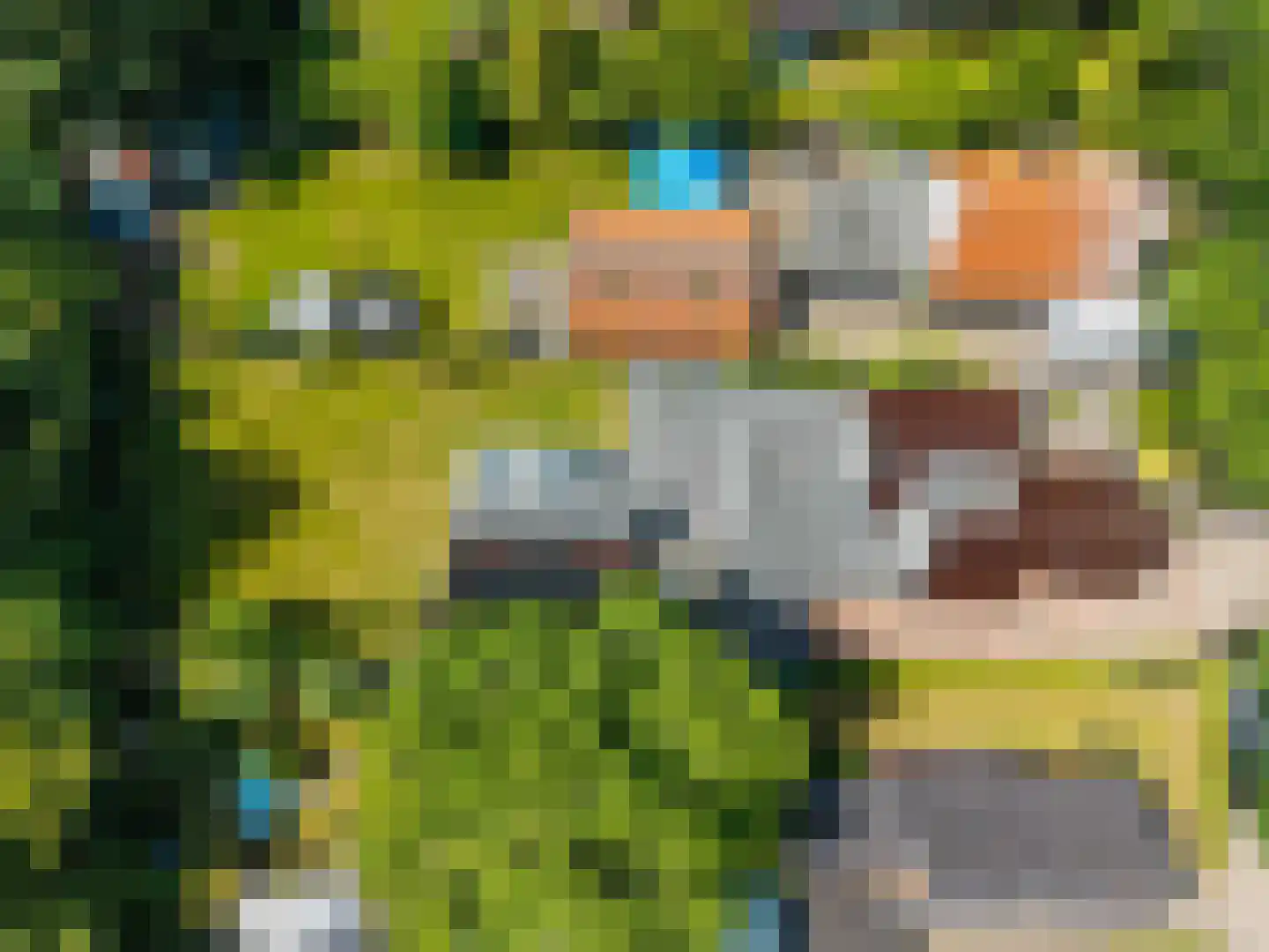 Canterlandseweg 39 Gytsjerk thumbnail 57