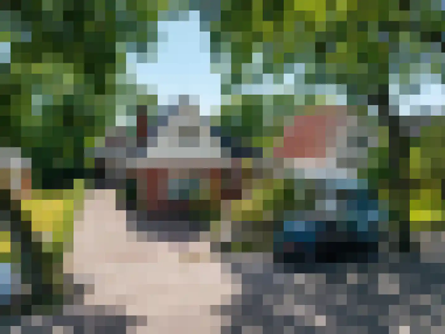 Canterlandseweg 39 Gytsjerk thumbnail 6
