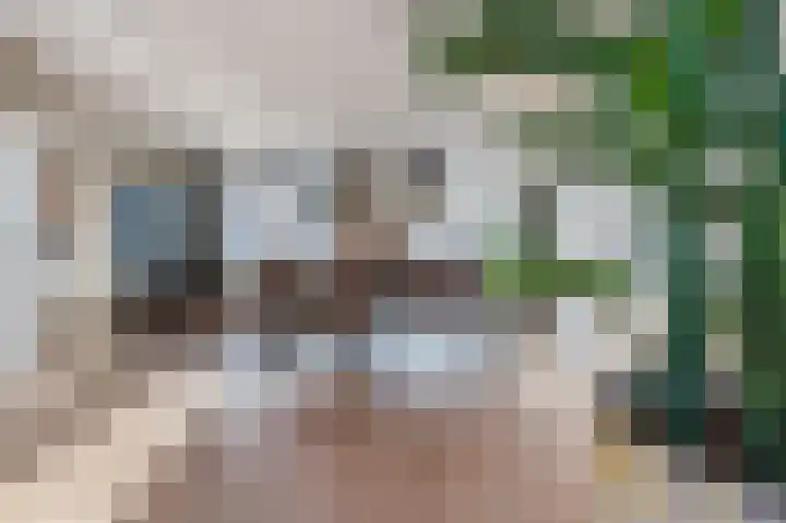 Cantersakker 56 Nuenen thumbnail 11