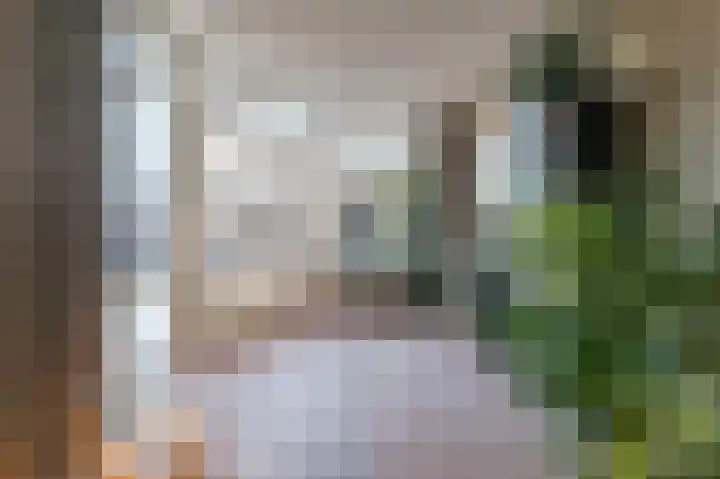 Cantersakker 56 Nuenen thumbnail 12
