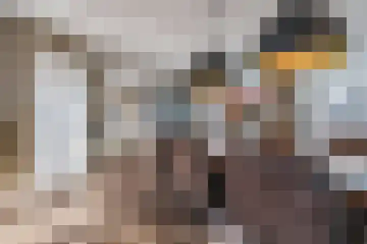 Cantersakker 56 Nuenen thumbnail 15
