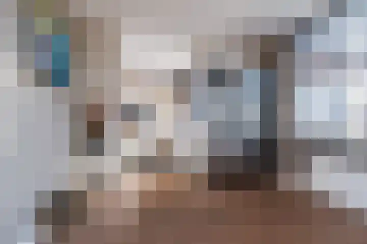 Cantersakker 56 Nuenen thumbnail 17