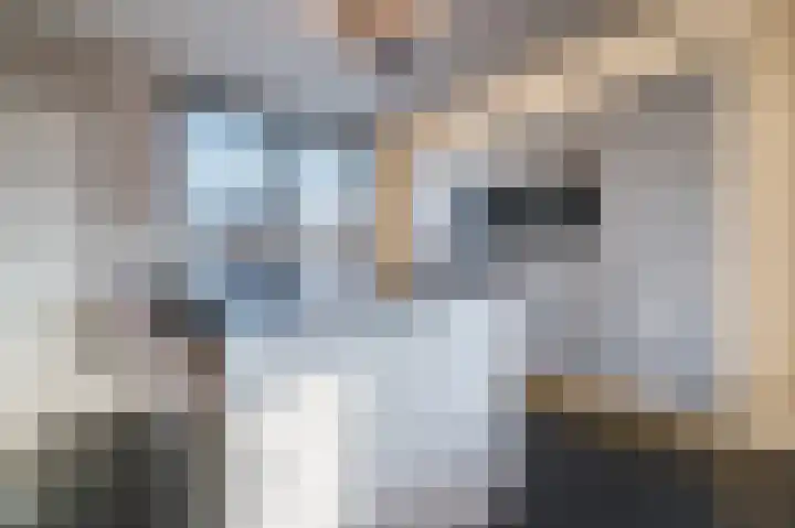 Cantersakker 56 Nuenen thumbnail 18