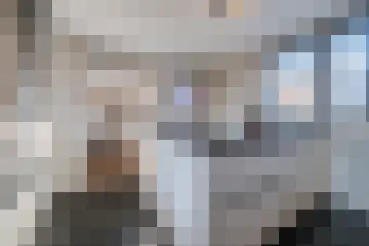 Cantersakker 56 Nuenen thumbnail 21