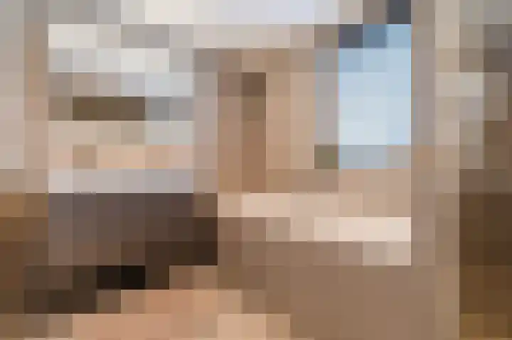 Cantersakker 56 Nuenen thumbnail 26
