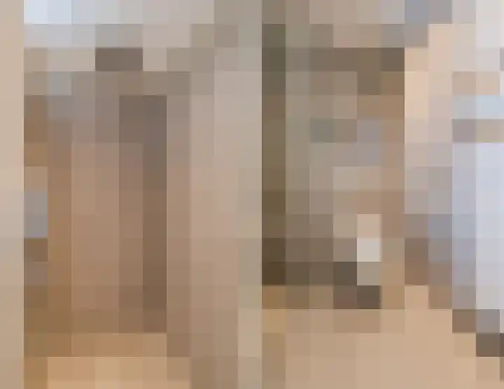 Cantersakker 56 Nuenen thumbnail 27
