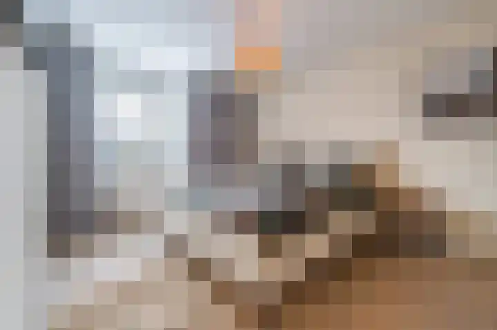 Cantersakker 56 Nuenen thumbnail 28