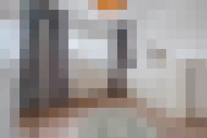 Cantersakker 56 Nuenen thumbnail 31