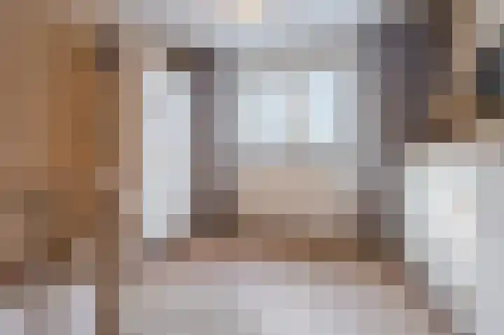 Cantersakker 56 Nuenen thumbnail 32