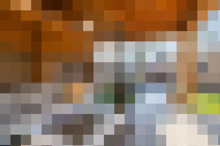 Cantersakker 56 Nuenen thumbnail 36