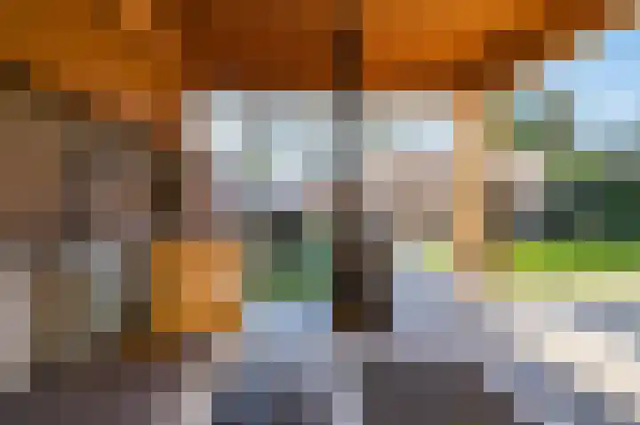 Cantersakker 56 Nuenen thumbnail 37