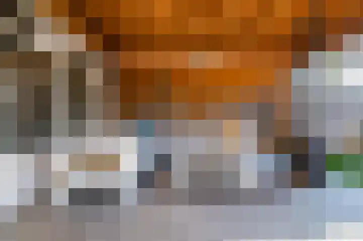 Cantersakker 56 Nuenen thumbnail 38