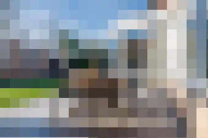 Cantersakker 56 Nuenen thumbnail 39