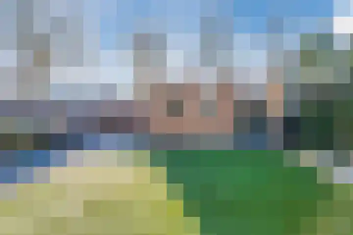 Cantersakker 56 Nuenen thumbnail 40