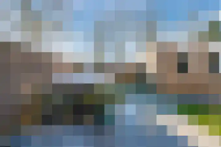 Cantersakker 56 Nuenen thumbnail 41