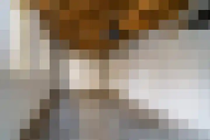 Cantersakker 56 Nuenen thumbnail 46