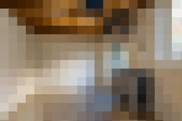 Cantersakker 56 Nuenen thumbnail 47
