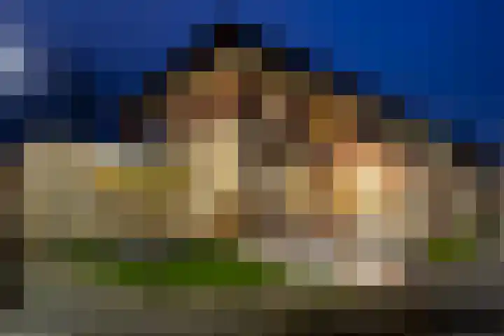 Cantersakker 56 Nuenen thumbnail 50