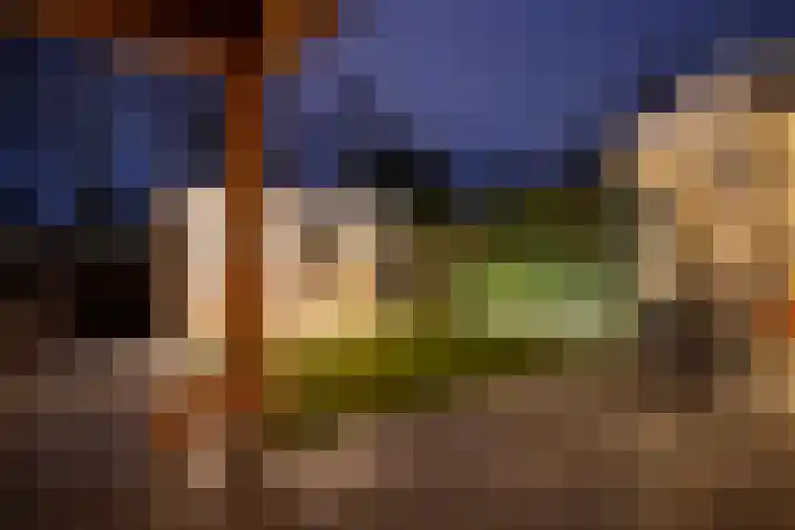 Cantersakker 56 Nuenen thumbnail 51