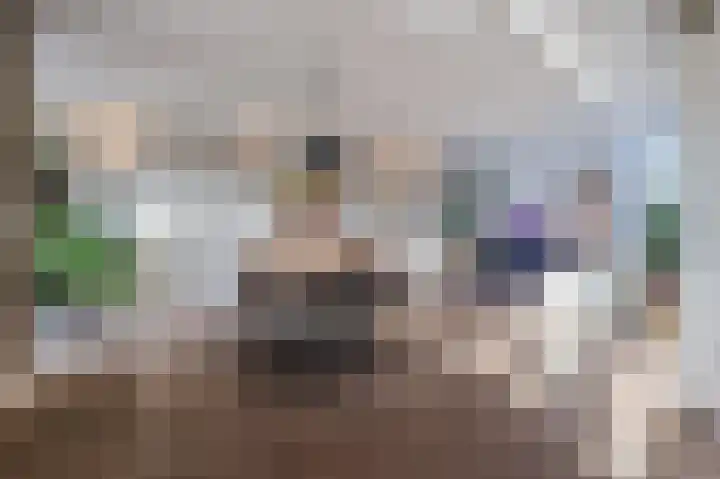 Cantersakker 56 Nuenen thumbnail 7