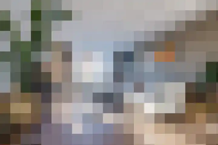 Cantersakker 56 Nuenen thumbnail 8