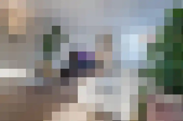 Cantersakker 56 Nuenen thumbnail 9
