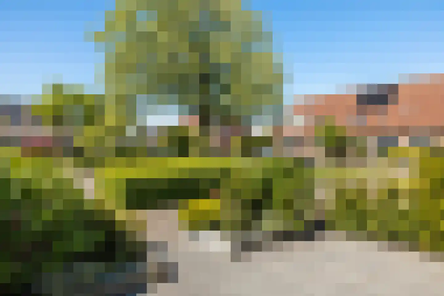 Canterstate 38 Leeuwarden thumbnail 13