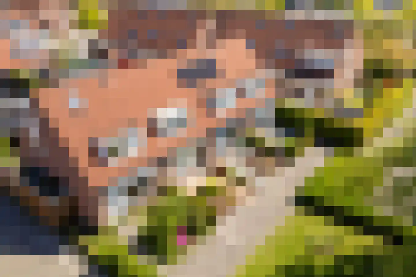 Canterstate 38 Leeuwarden thumbnail 6