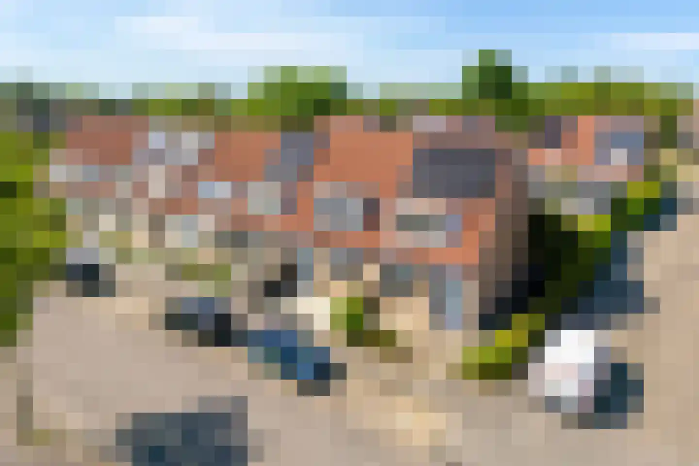 Canterstate 91 a Leeuwarden thumbnail 35