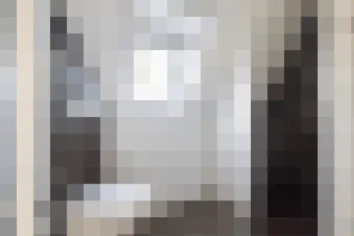 Canterstins 26 Stiens thumbnail 23