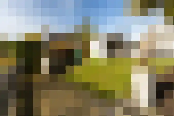 Canterstins 26 Stiens thumbnail 28