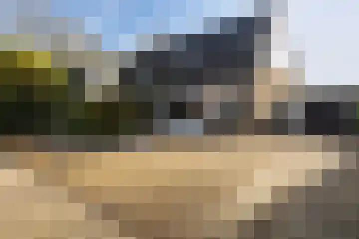 Canterstins 26 Stiens thumbnail 30
