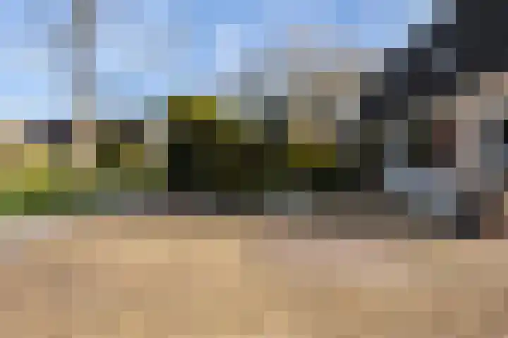 Canterstins 26 Stiens thumbnail 31
